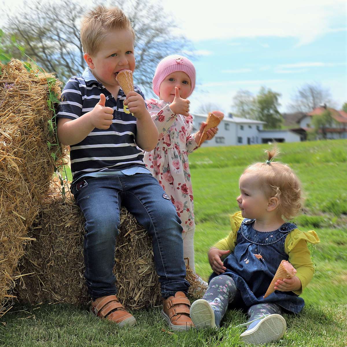Bauernhof-Eis | Maiers frische Milchprodukte, Oberwihl-Hotzenwald
